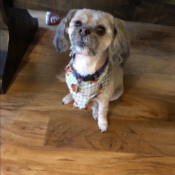 pennyscloset18